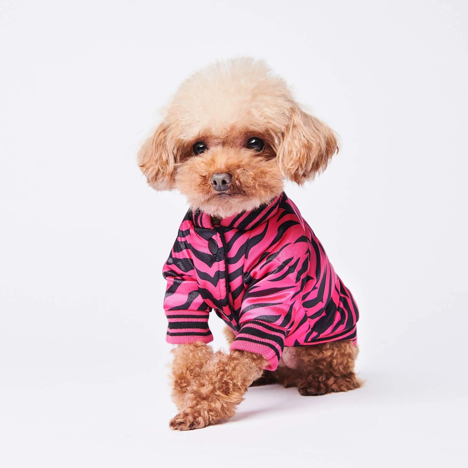 Hunder Katter Frakker Jakke Mote søt stil Vinter Varm Pustende Myk Vaskbar Bekvem utendørs Fritid / hverdag Hundeklær for Bichon Frisé Pommeran ungt kjæledyr Sommerfugl Small 2025 - $38.99 –P5