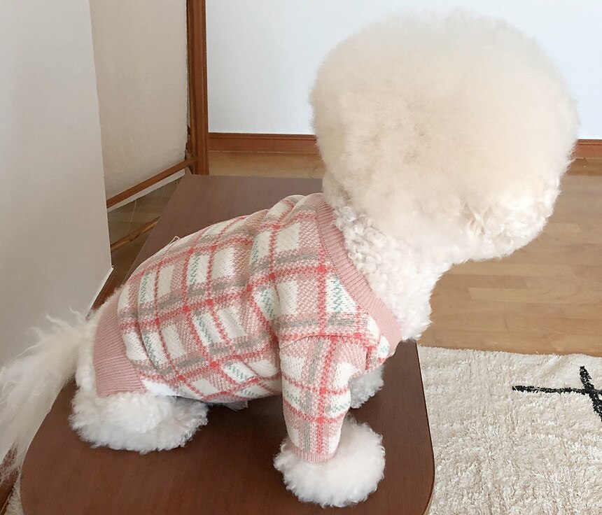 Câini Pisici Pulovere Jumper Modă Casual Iarnă Cald Respirabil Απαλό Lavabil Comfortabil În aer liber Casul / Zilnic Îmbrăcăminte pentru câini for Bichon Frise Pomeran un Animalut Fluture Small 2025 - $35.99 –P14