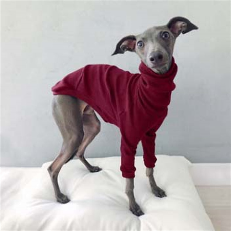 Dog Cat Shirt / T-Shirt Fashion Cute Breathable Soft Washable Comfortable Outdoor Casual Daily Dog Clothing for Bichon Frise Pomeranian Baby Pet Papillon Small 2025 - $25.99 –P10
