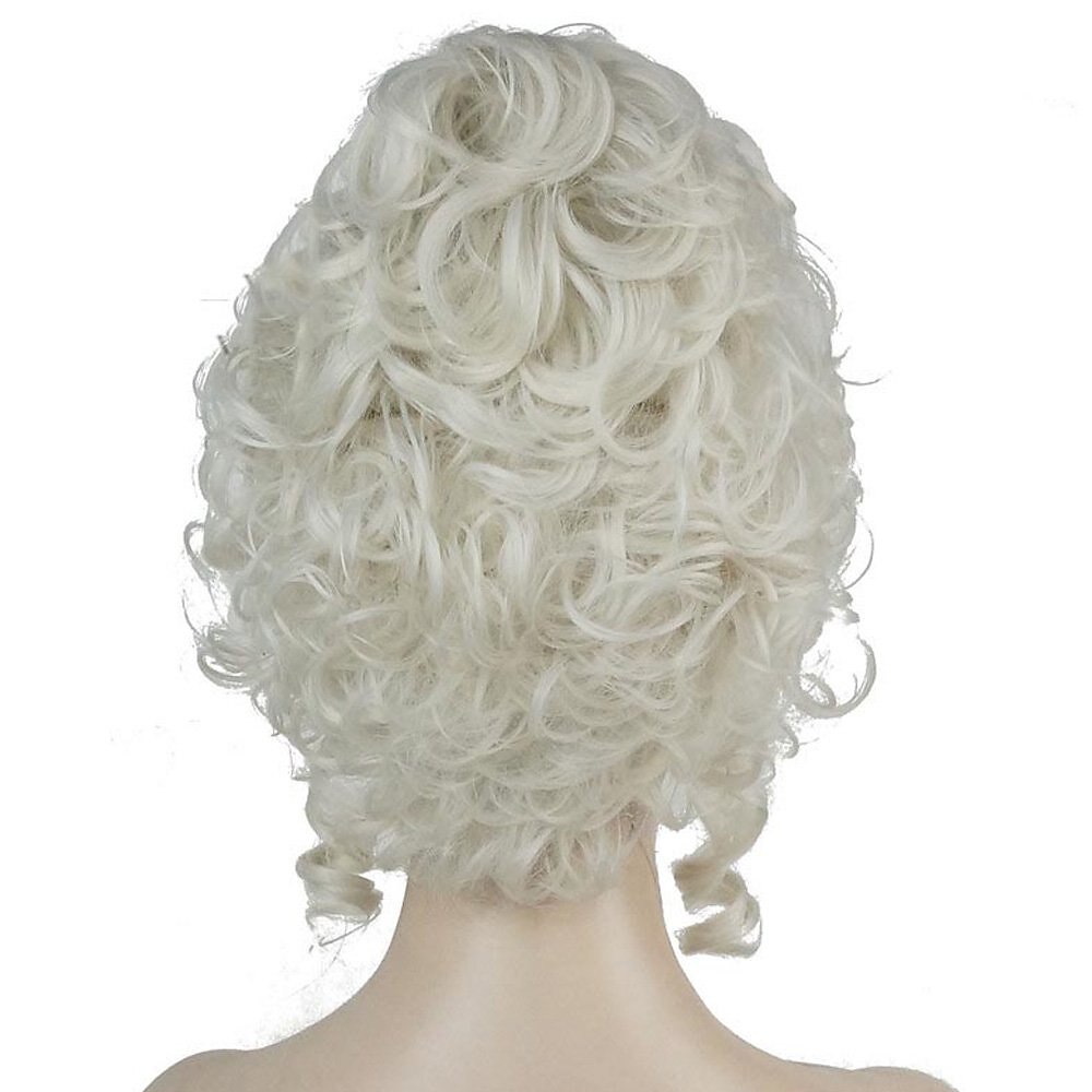 perruque baroque classique du 18e siècle marie antoinette dames adultes carnaval cosplay accessoires argent de 2025 ? $20.99 –P2