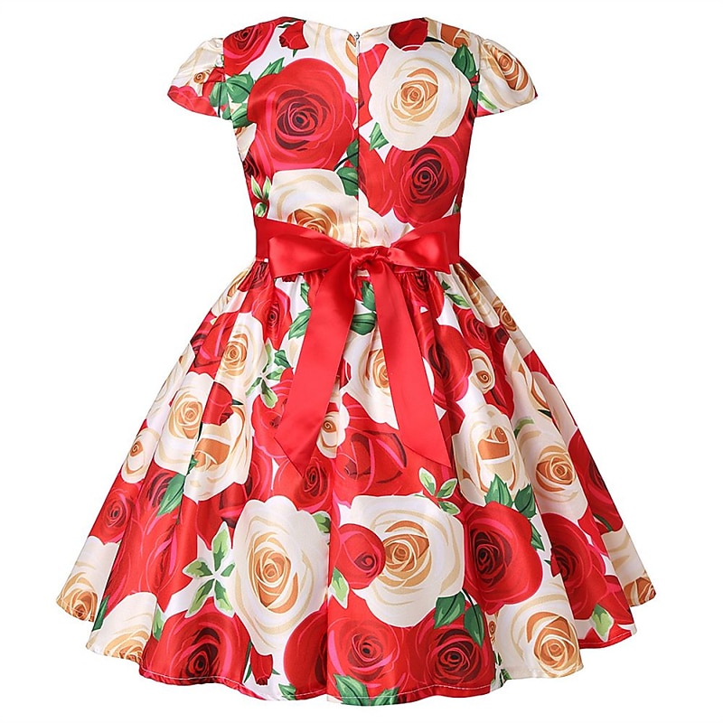 Kinder Mädchen Kleid Partykleid Blumen Blume Kurzarm Leistung Hochzeit Besonderer Anlass Gerafft Elegant Urlaub Mode Polyester Midi Partykleid Schwingkleid Skaterkleid Sommer Frühling 3-10 Jahre Wei 2026 - $36.99 –P15