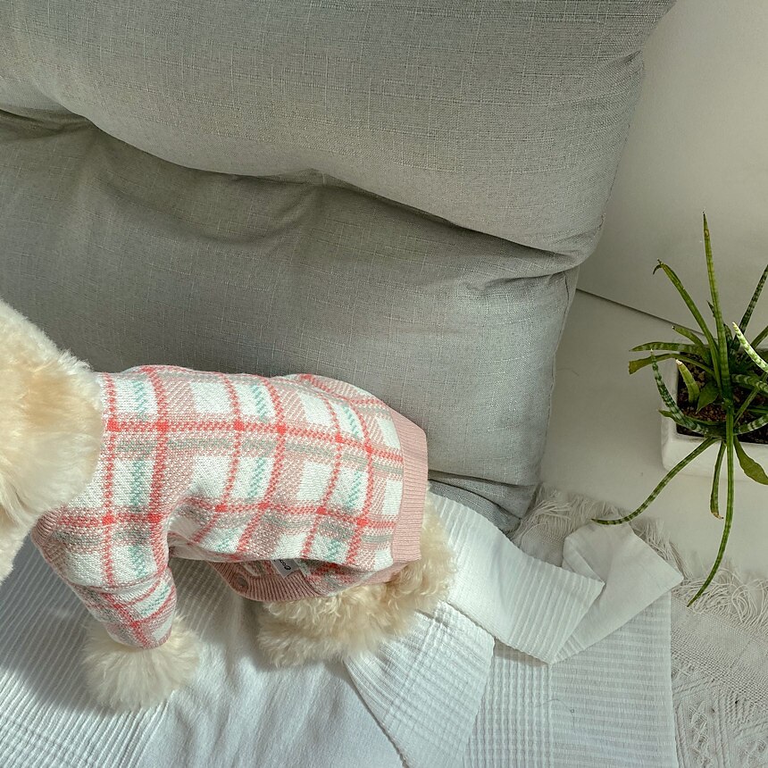 Câini Pisici Pulovere Jumper Modă Casual Iarnă Cald Respirabil Απαλό Lavabil Comfortabil În aer liber Casul / Zilnic Îmbrăcăminte pentru câini for Bichon Frise Pomeran un Animalut Fluture Small 2025 - $35.99 –P7