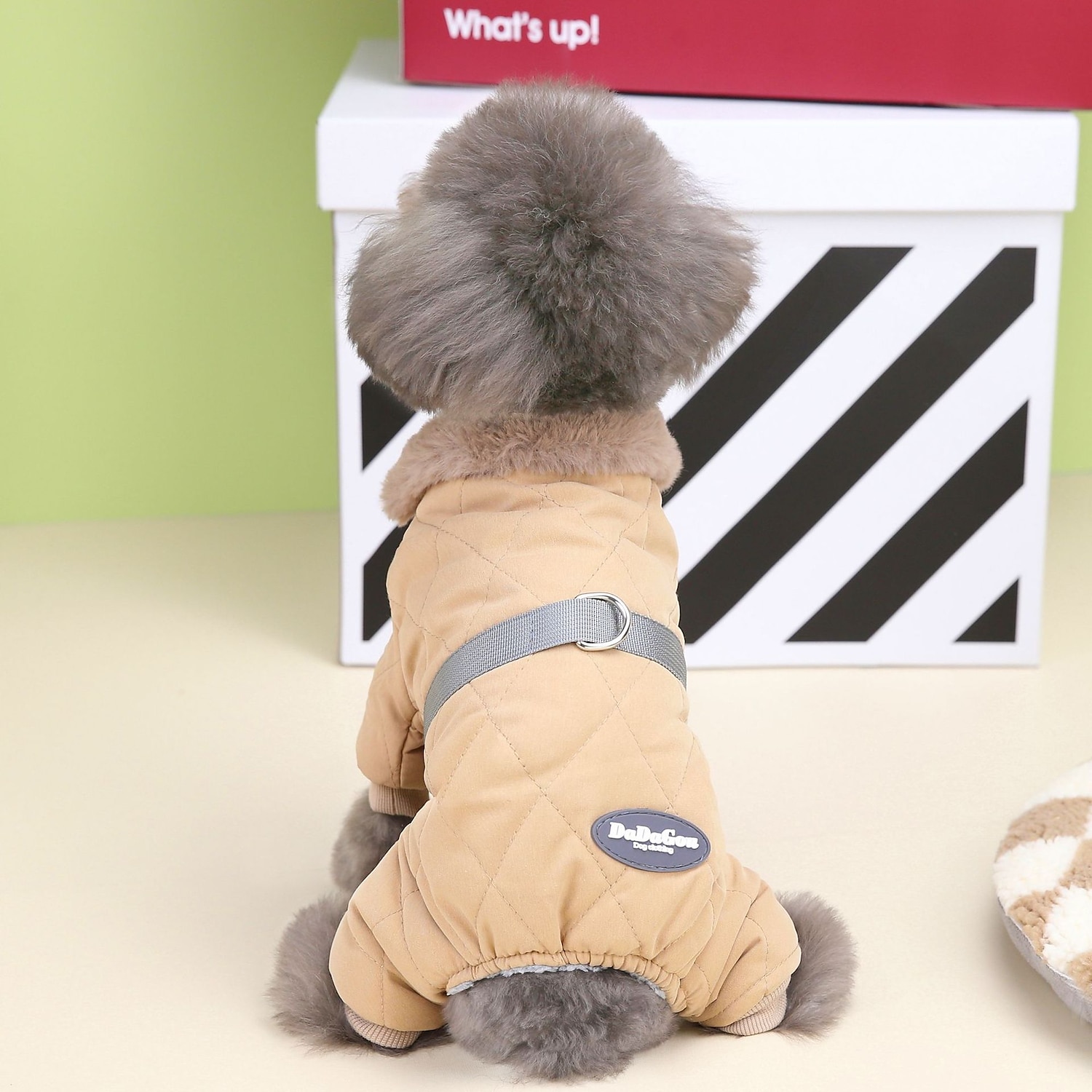 Cachorros Gatos Casacos Jaqueta Moda Estilo bonito Inverno Respirável Macio Lavável Confortável Ao ar livre Casual / Diário Roupas para cães for Bichon Frise Pomerânia Animais de Pequeno Porte de 2025 por $32.99 –P5