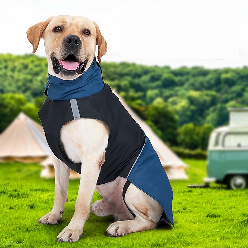 Hund Katze Mäntel Regenmantel Regenjacke Mode Niedlich Reflektierend Wasserdicht Warm Atmungsaktiv Weich Outdoor Alltagstauglich Hundebekleidung for Bichon Frise Zwergspitz Baby Haustier Papillon 2026 - $28.99 –P1