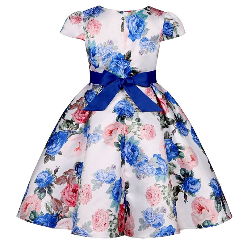Kinder Mädchen Kleid Partykleid Blumen Blume Kurzarm Leistung Hochzeit Besonderer Anlass Gerafft Elegant Urlaub Mode Polyester Midi Partykleid Schwingkleid Skaterkleid Sommer Frühling 3-10 Jahre Wei 2026 - $36.99 –P20