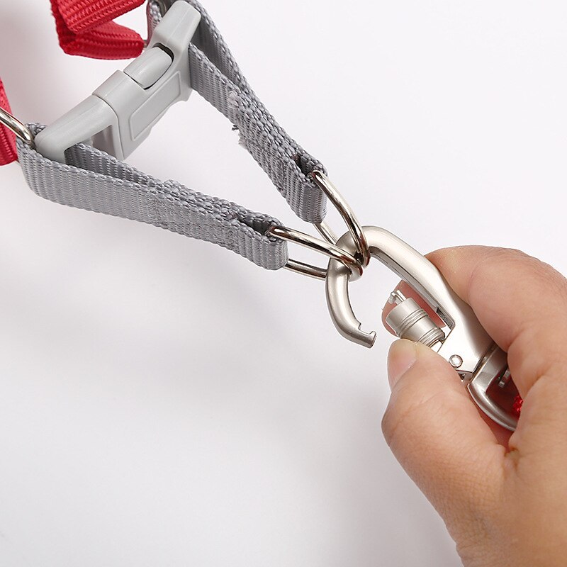 Cachorros Gatos Colarinho Arreios Ajustável Portátil Durável Ao ar livre Caminhada de 2025 por $16.99 –P4