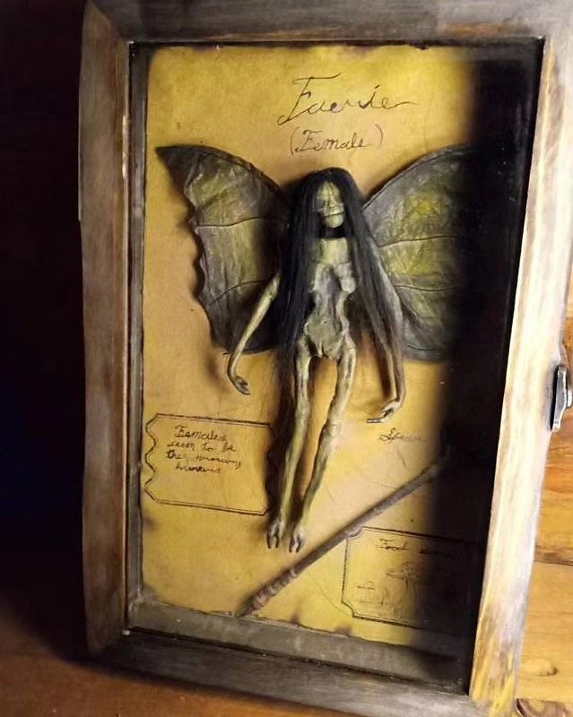 Halloween Mummified Fairy Display Box Solid Mdf Rectangle Distressed Wooden Hard Gift Durable Scary Mummy Skeleton With Wing Decoration Living Room Supplies 2025 - $23.99 –P3