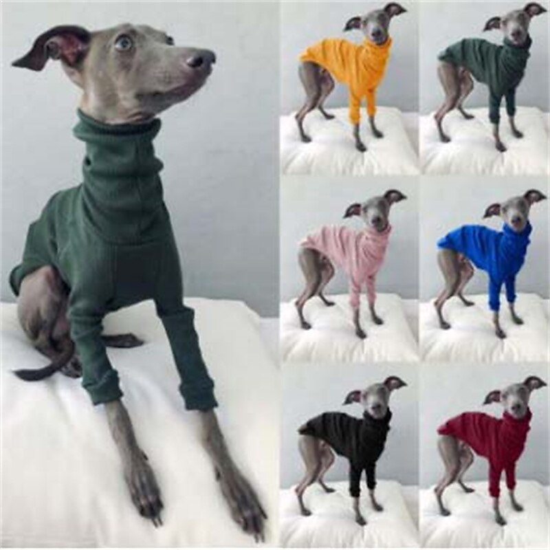 Dog Cat Shirt / T-Shirt Fashion Cute Breathable Soft Washable Comfortable Outdoor Casual Daily Dog Clothing for Bichon Frise Pomeranian Baby Pet Papillon Small 2025 - $25.99 –P1