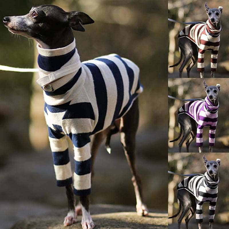 Wish top dog clothes