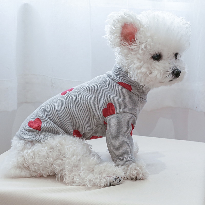 Hund Katt Tröja söt stil Ledigt Andningsfunktion Mjuk Tvättbar Bekväm Utomhus Halloween Ledigt / vardag Hundkläder for Bichon Frisé Pommeran valpen eller det lilla husdjuret Fjäril Small 2025 - $20.99 –P9