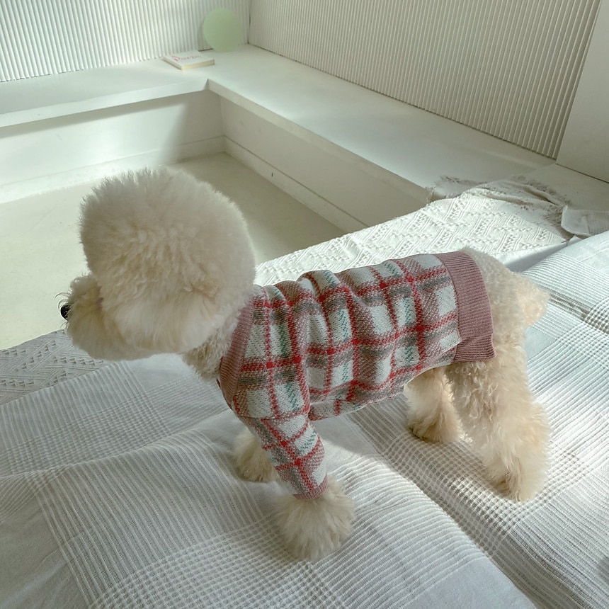Câini Pisici Pulovere Jumper Modă Casual Iarnă Cald Respirabil Απαλό Lavabil Comfortabil În aer liber Casul / Zilnic Îmbrăcăminte pentru câini for Bichon Frise Pomeran un Animalut Fluture Small 2025 - $35.99 –P4