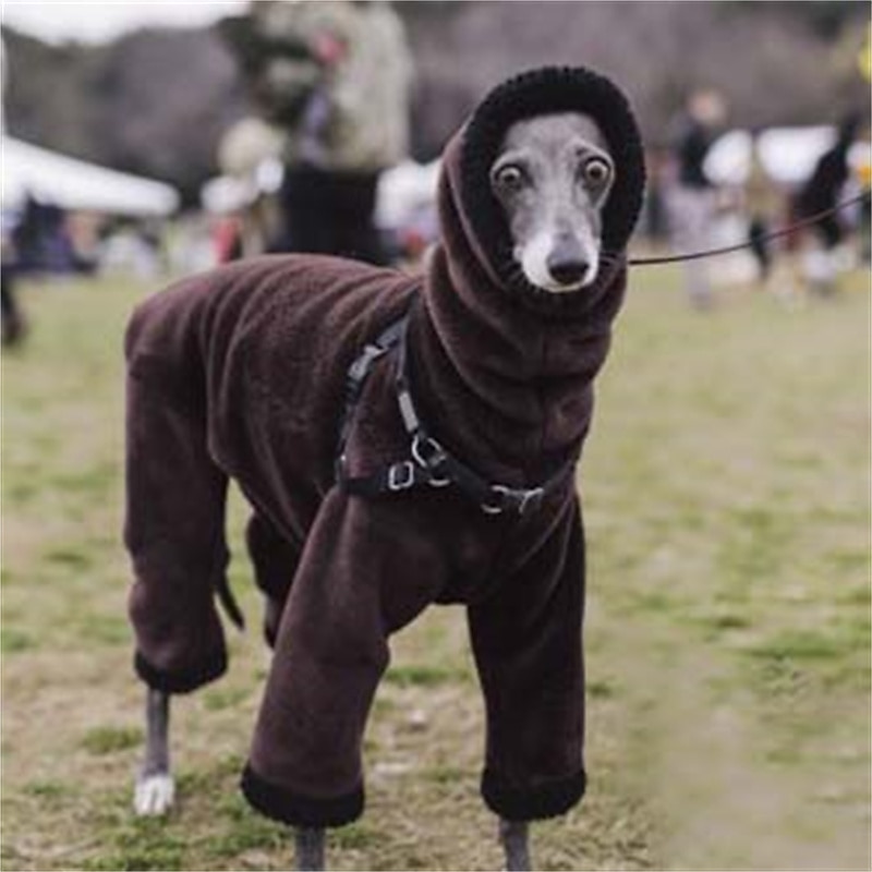 2026年 犬用 猫用 コート ジャケット ファッション かわいいスタイル 冬 ウォーム 高通気性 ソフト 洗濯可 快適 アウトドア カジュアル／普段着 犬服 for ビジョンフリーゼ ポメラニアン 赤ちゃんサイズ パピヨン Small  コレクション – $34.99 –P2