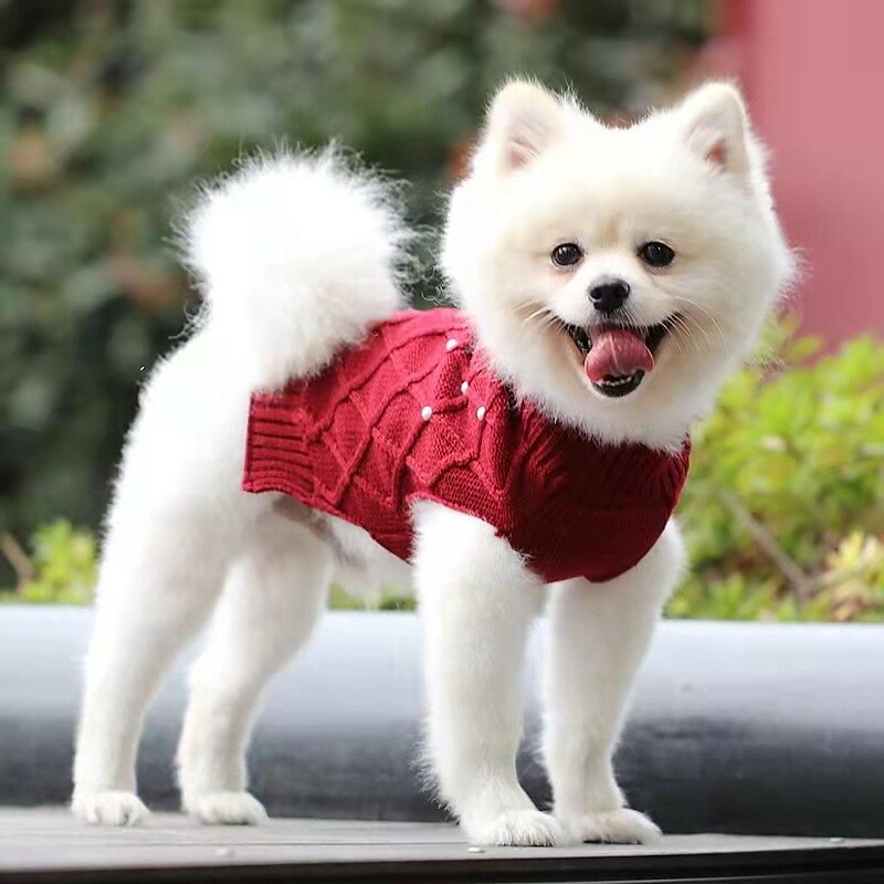 Cachorros Gatos Súeters Pulôver Moda Casual Inverno Respirável Macio Lavável Confortável Ao ar livre Casual / Diário Bichon Frise Pomerânia Animais de Pequeno Porte Borboleta de 2025 por $15.49 –P3
