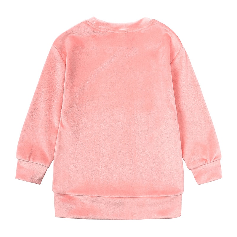 2 предмета Дети (1-4 лет) Девочки Сплошной цвет Crewneck Комплект с капюшоном и спортивными штанами Устанавливать Длинный рукав Спорт на открытом воздухе 3-7 лет Осень Цвет шампанского Розовый Синий 2025 - $20.99 –P18