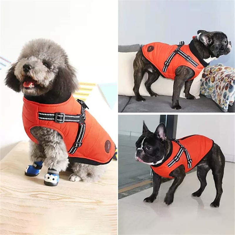 Cachorros Gatos Casacos Jaqueta Moda Estilo bonito Inverno Respirável Macio Lavável Confortável Ao ar livre Casual / Diário Roupas para cães for Bichon Frise Pomerânia Animais de Pequeno Porte de 2025 por $41.99 –P1