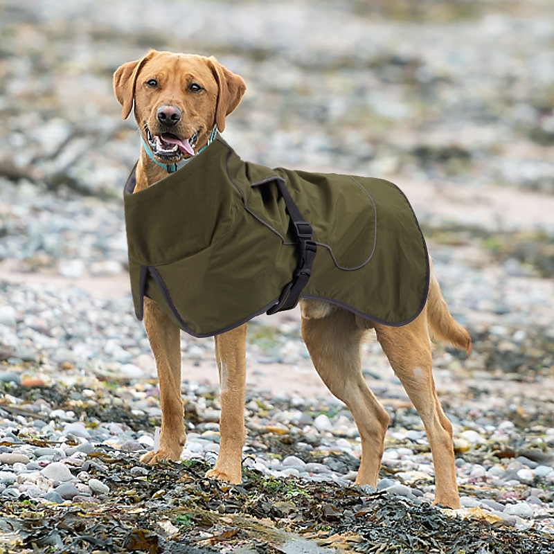 Chien Chat Manteau Veste Mode Mignon Hiver Réfléchissant Imperméable Chaud Respirant Doux Extérieur Décontracté Quotidien Vêtements pour Chiens for Husky Golden Retriever Border Collie Corgi Petit de 2025 ? $37.99 –P3