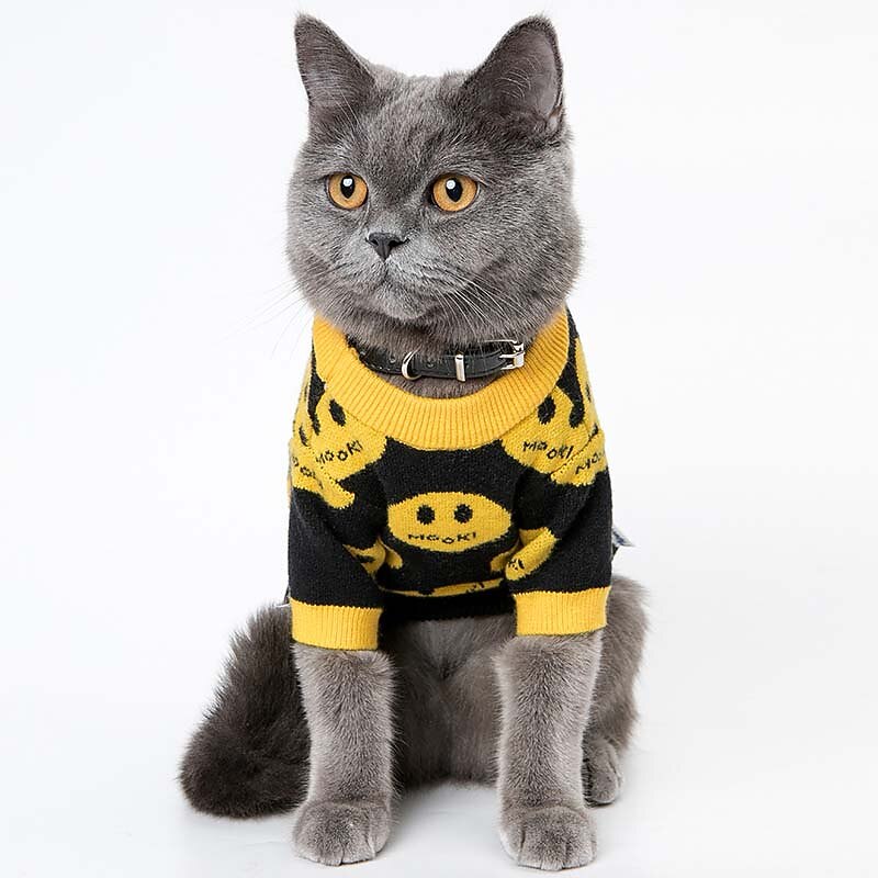 Câini Pisici Pulovere Jumper Modă Drăguţ Iarnă Respirabil Απαλό Lavabil Comfortabil În aer liber Casul / Zilnic Îmbrăcăminte pentru câini for Bichon Frise Pomeran un Animalut Fluture Small 2025 - $29.99 –P3