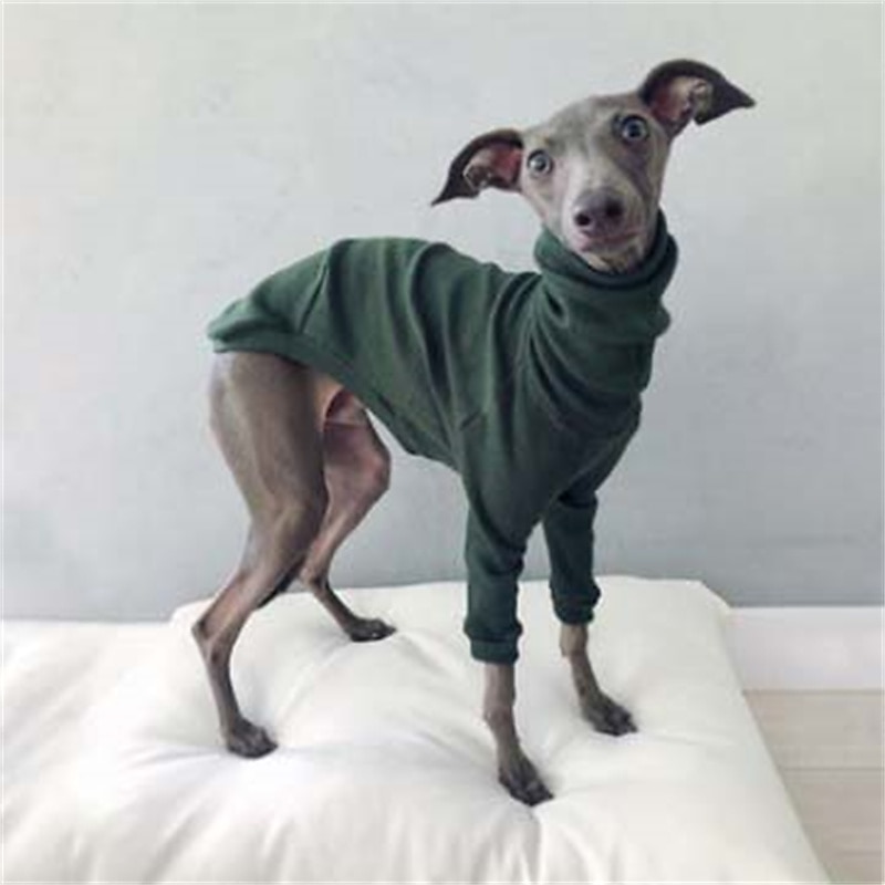 Dog Cat Shirt / T-Shirt Fashion Cute Breathable Soft Washable Comfortable Outdoor Casual Daily Dog Clothing for Bichon Frise Pomeranian Baby Pet Papillon Small 2025 - $25.99 –P11