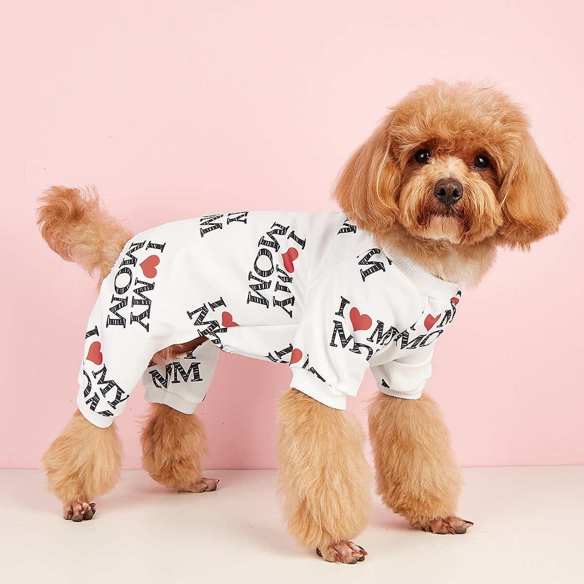 Hunde Katzen Pullover Modisch Brautkleider schlicht Winter Wasserdicht Atmungsaktiv Weich Waschbar Komfortabel Casual Hundebekleidung for Bichon Frise Spitz kleines Haustier Schmetterling Small 2025 - $23.99 –P1