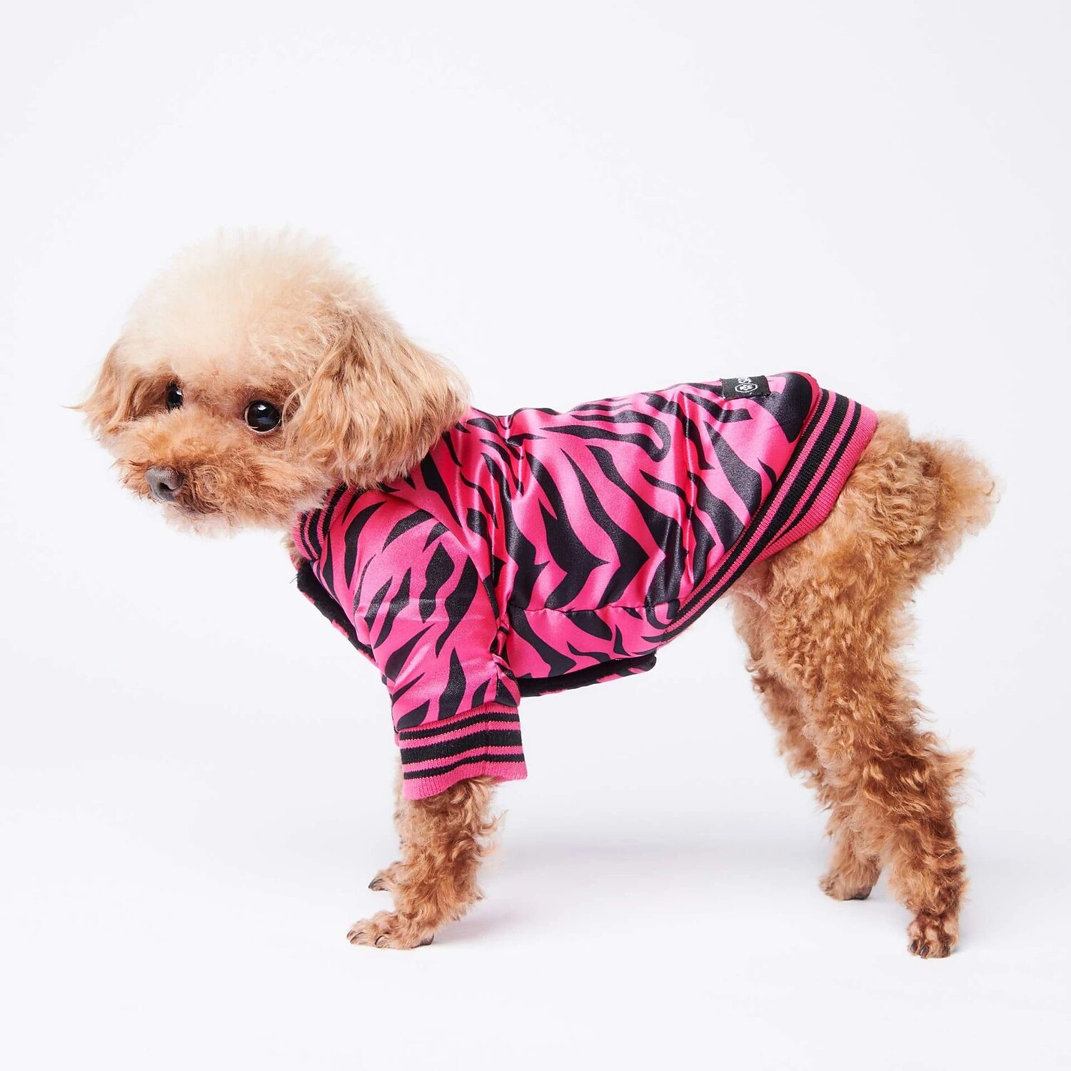 Hunder Katter Frakker Jakke Mote søt stil Vinter Varm Pustende Myk Vaskbar Bekvem utendørs Fritid / hverdag Hundeklær for Bichon Frisé Pommeran ungt kjæledyr Sommerfugl Small 2025 - $38.99 –P3