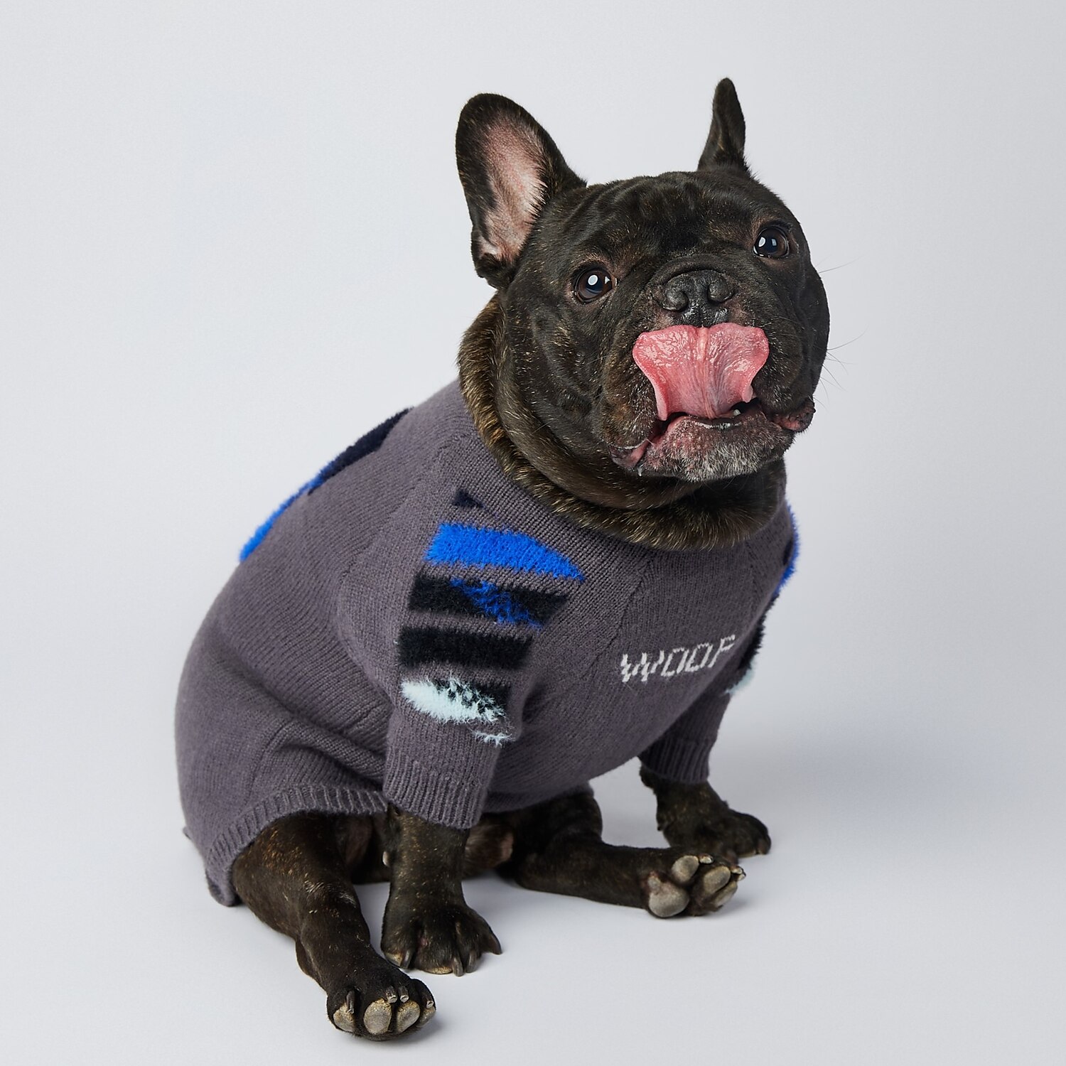 Chien Chat Pull Mode Drôle Hiver Respirant Doux Lavable Confortable Extérieur Décontracté Quotidien Vêtements pour Chiens for Bichon Frisé Spitz Nain Bébé Animal Papillon Petit de 2025 ? $32.99 –P2