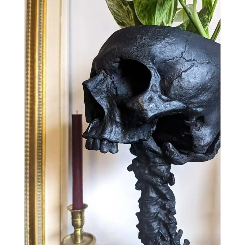 Halloween Skull Planter & Spine Stand, Resin Skull Head Flower Succulent Cactus Planter Pots,or Home Office Desk Decorations Halloween Scene Statue Sculpture Decorations 2025 - $26.99 –P6