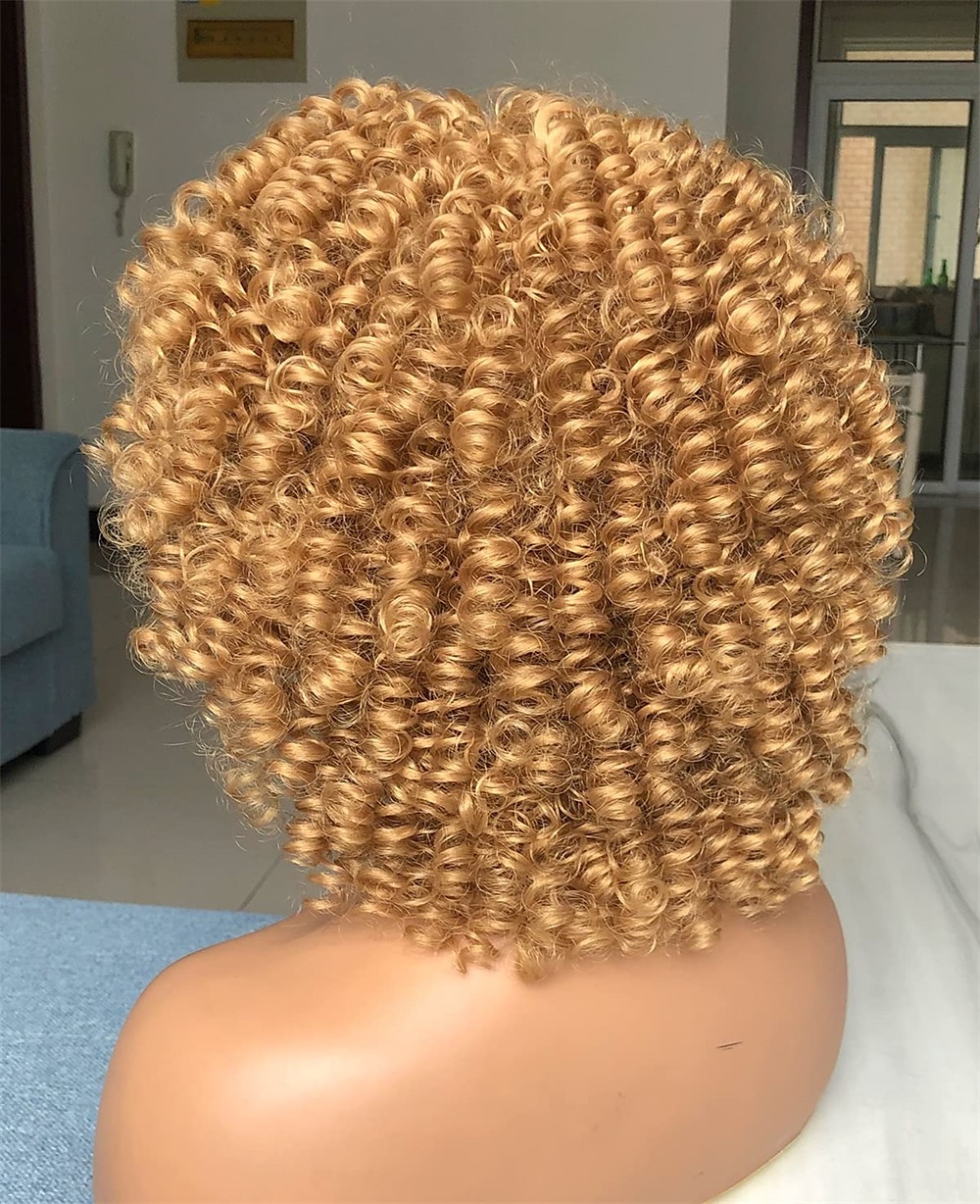 perruque afro bouclée avec une frange perruques courtes crépus bouclés pour les femmes noires fibre synthétique cheveux doux perruque afro courte bouclée de 2025 ? $20.99 –P5