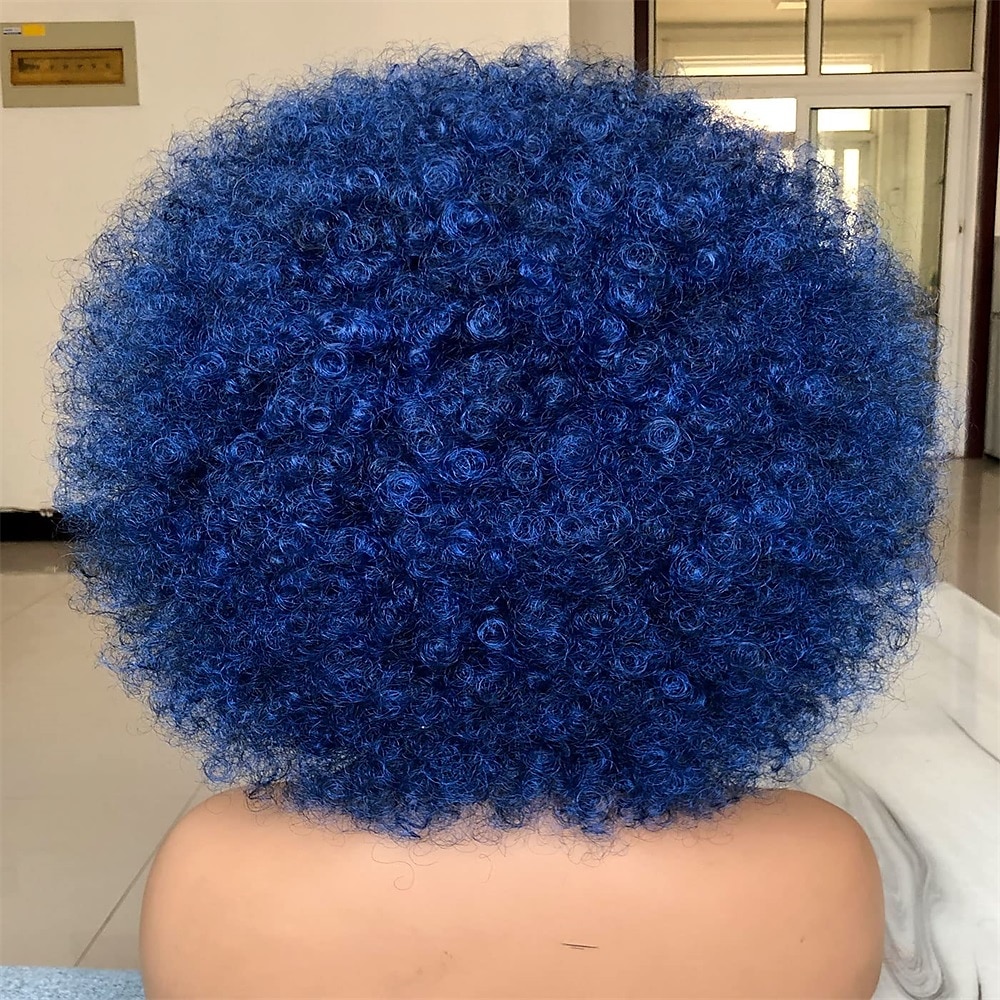 Short Afro Wig with Bangs for Black Women Afro Kinky Curly Wig 70s Premium Synthetic Big Afro Wig 2025 - $20.99 –P11