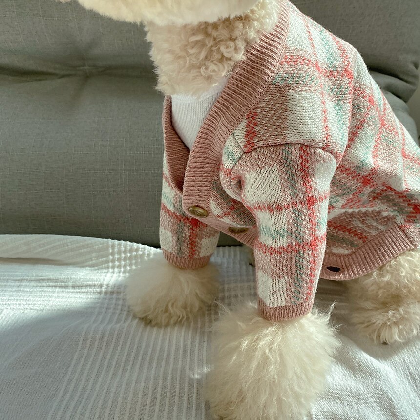 Câini Pisici Pulovere Jumper Modă Casual Iarnă Cald Respirabil Απαλό Lavabil Comfortabil În aer liber Casul / Zilnic Îmbrăcăminte pentru câini for Bichon Frise Pomeran un Animalut Fluture Small 2025 - $35.99 –P3