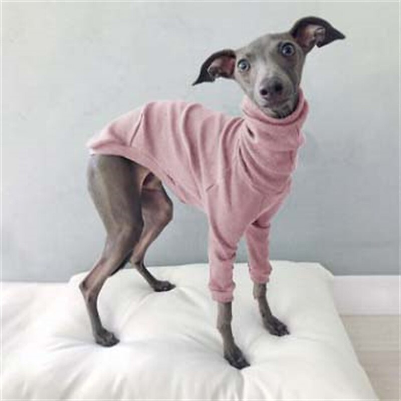Dog Cat Shirt / T-Shirt Fashion Cute Breathable Soft Washable Comfortable Outdoor Casual Daily Dog Clothing for Bichon Frise Pomeranian Baby Pet Papillon Small 2025 - $25.99 –P3