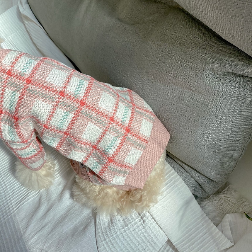 Câini Pisici Pulovere Jumper Modă Casual Iarnă Cald Respirabil Απαλό Lavabil Comfortabil În aer liber Casul / Zilnic Îmbrăcăminte pentru câini for Bichon Frise Pomeran un Animalut Fluture Small 2025 - $35.99 –P6