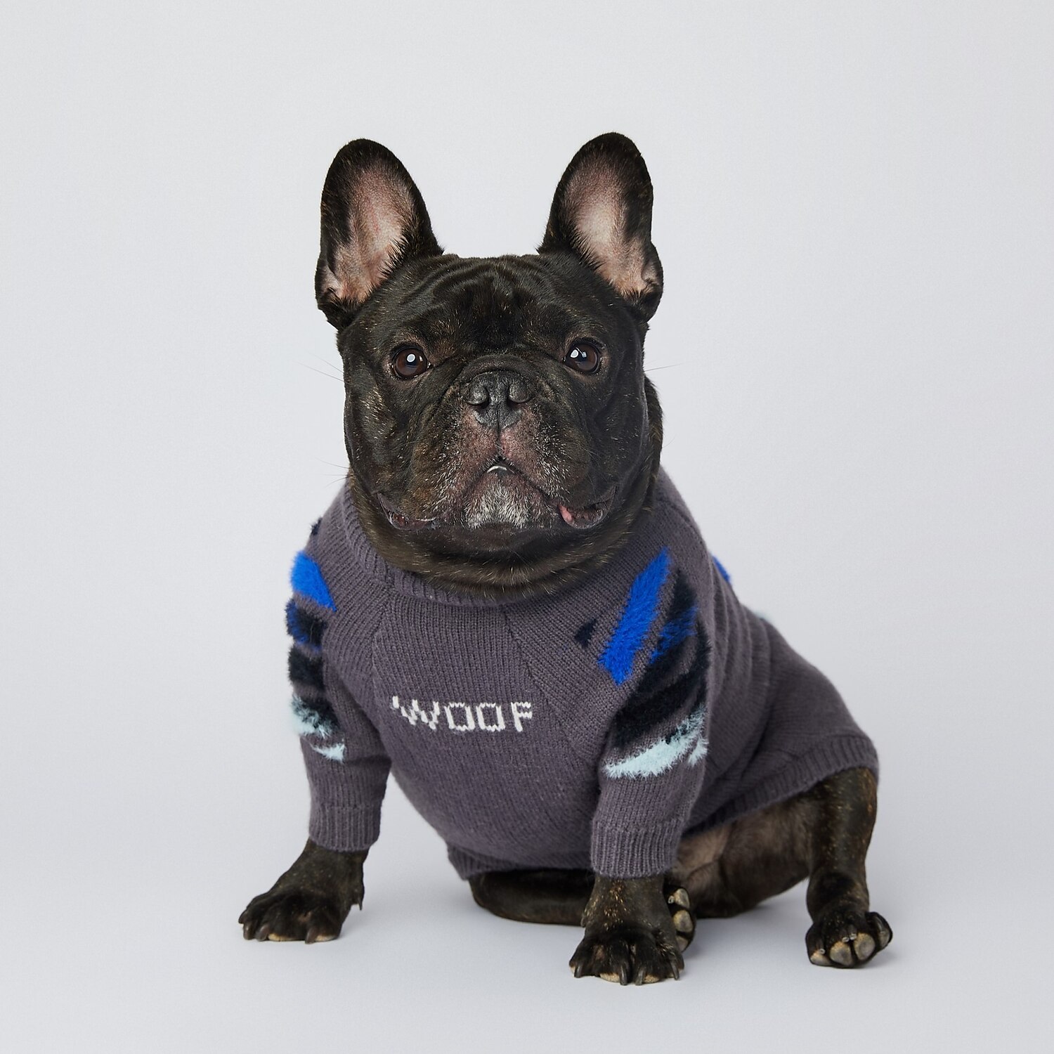 Chien Chat Pull Mode Drôle Hiver Respirant Doux Lavable Confortable Extérieur Décontracté Quotidien Vêtements pour Chiens for Bichon Frisé Spitz Nain Bébé Animal Papillon Petit de 2025 ? $32.99 –P5