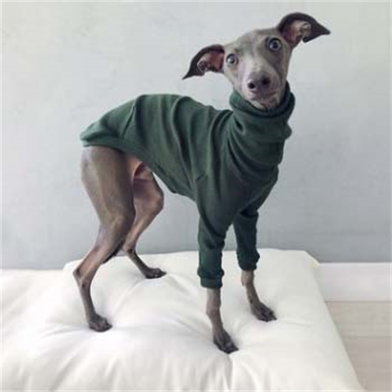 Dog Cat Shirt / T-Shirt Fashion Cute Breathable Soft Washable Comfortable Outdoor Casual Daily Dog Clothing for Bichon Frise Pomeranian Baby Pet Papillon Small 2025 - $25.99 –P4