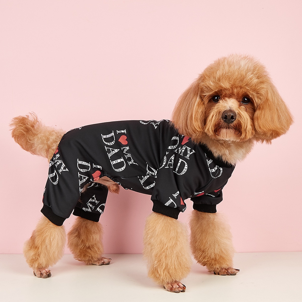 Hunde Katzen Pullover Modisch Brautkleider schlicht Winter Wasserdicht Atmungsaktiv Weich Waschbar Komfortabel Casual Hundebekleidung for Bichon Frise Spitz kleines Haustier Schmetterling Small 2025 - $23.99 –P2