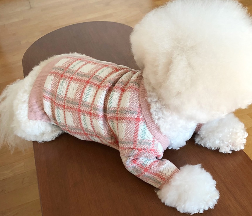 Câini Pisici Pulovere Jumper Modă Casual Iarnă Cald Respirabil Απαλό Lavabil Comfortabil În aer liber Casul / Zilnic Îmbrăcăminte pentru câini for Bichon Frise Pomeran un Animalut Fluture Small 2025 - $35.99 –P13