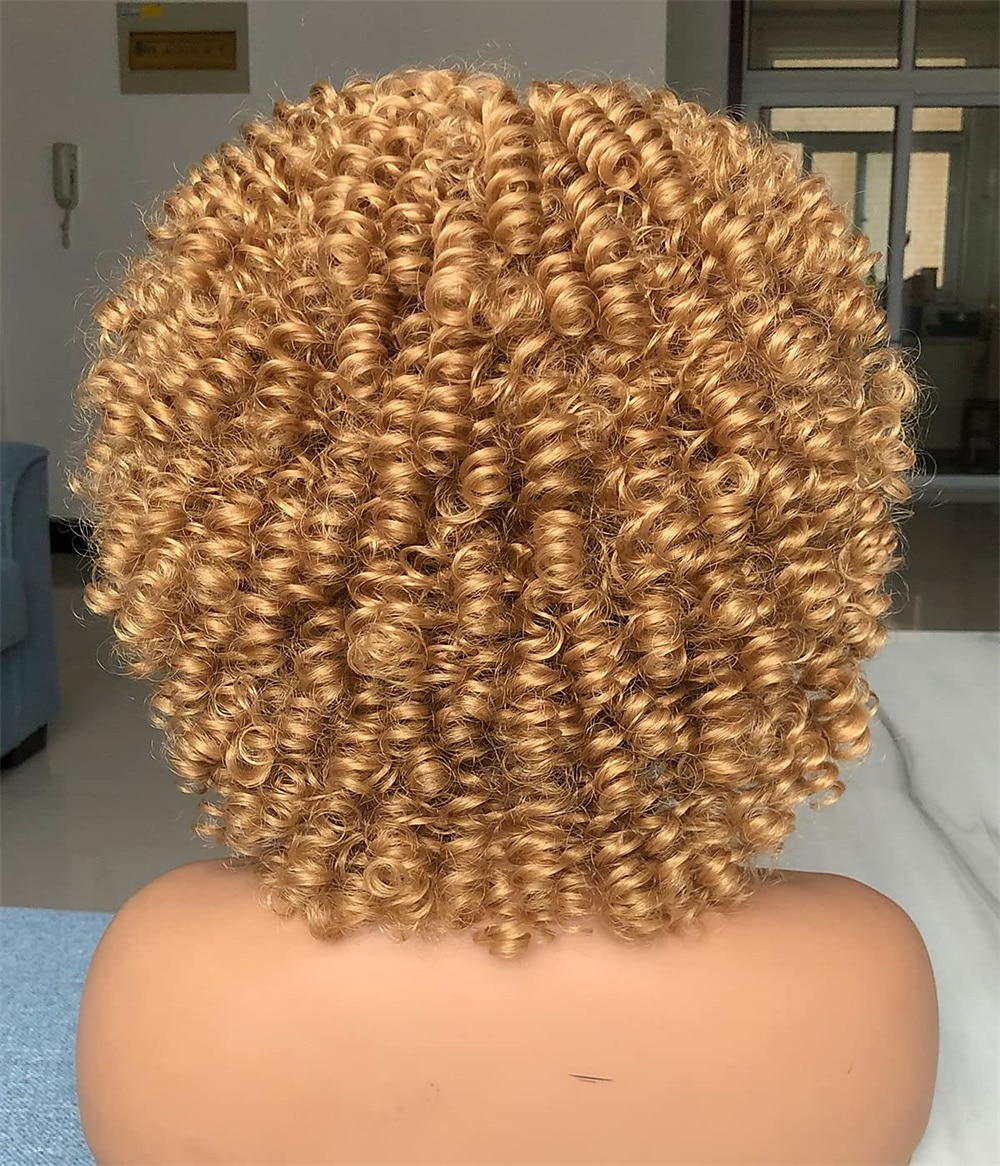 perruque afro bouclée avec une frange perruques courtes crépus bouclés pour les femmes noires fibre synthétique cheveux doux perruque afro courte bouclée de 2025 ? $20.99 –P2