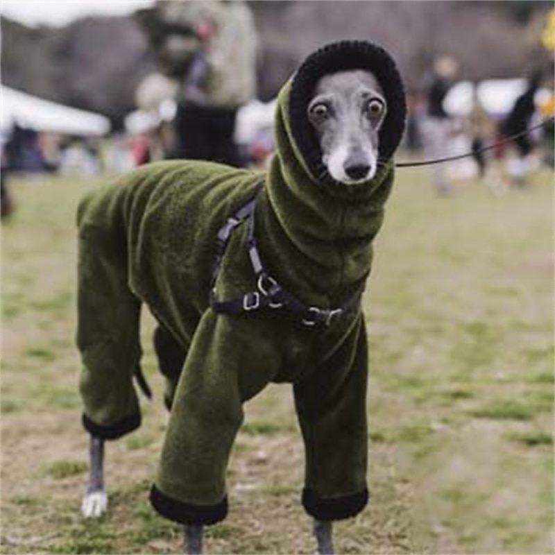 2026年 犬用 猫用 コート ジャケット ファッション かわいいスタイル 冬 ウォーム 高通気性 ソフト 洗濯可 快適 アウトドア カジュアル／普段着 犬服 for ビジョンフリーゼ ポメラニアン 赤ちゃんサイズ パピヨン Small  コレクション – $34.99 –P4