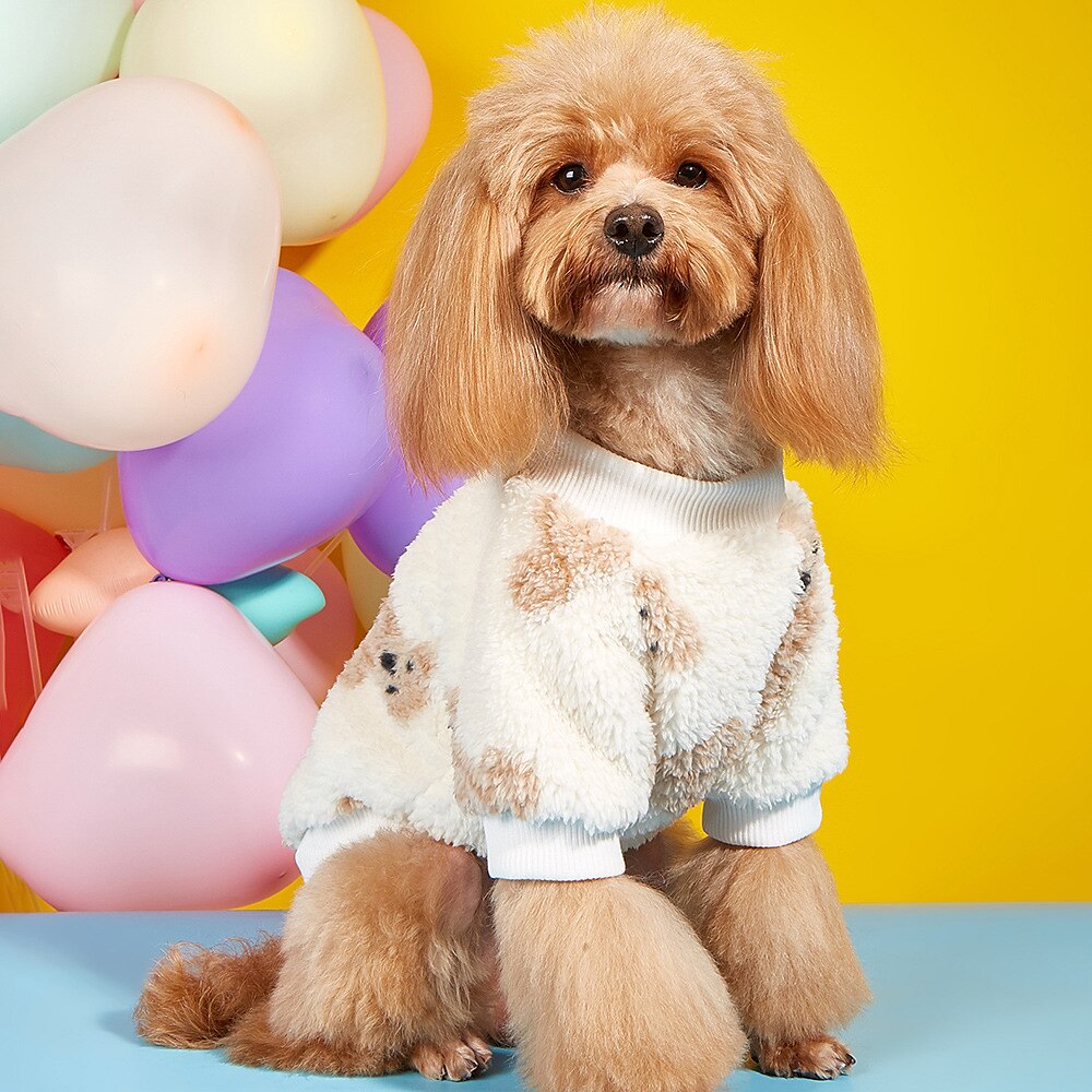 Koirat Kissat College Muoti Vapaa-aika Talvi Lämmin Hengittävä Pehmeä Pestävä Mukava ulko- Rento / arki Koiran vaatteet for Bichon Frise Pomeranian Pienelle lemmikille papillon Small 2025 - $18.99 –P1
