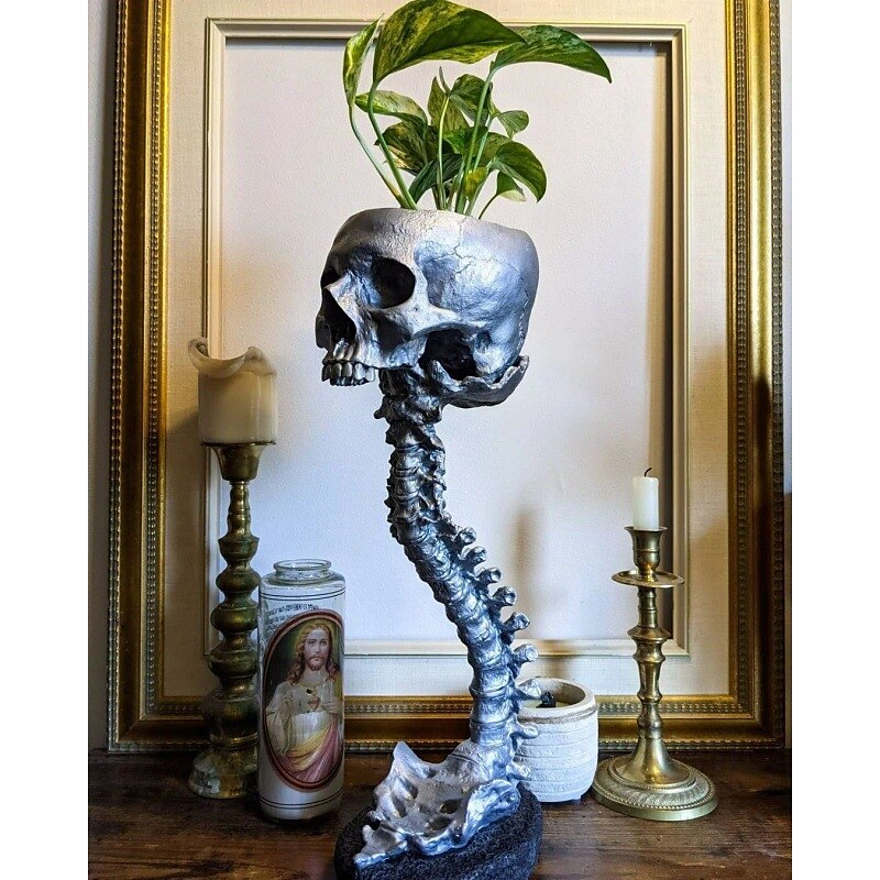 Halloween Skull Planter & Spine Stand, Resin Skull Head Flower Succulent Cactus Planter Pots,or Home Office Desk Decorations Halloween Scene Statue Sculpture Decorations 2025 - $26.99 –P8
