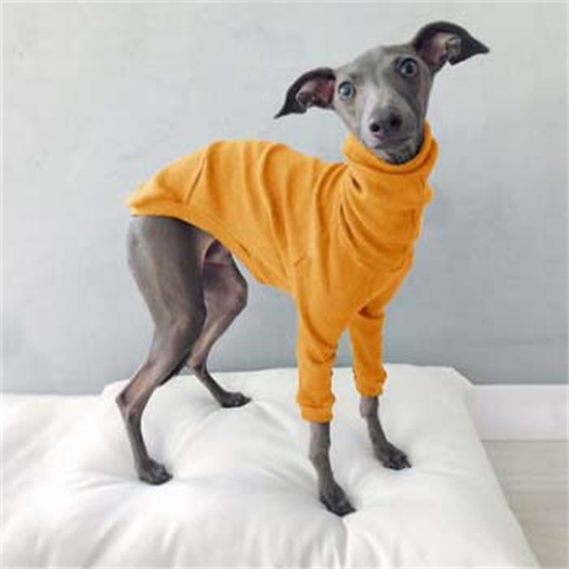 Dog Cat Shirt / T-Shirt Fashion Cute Breathable Soft Washable Comfortable Outdoor Casual Daily Dog Clothing for Bichon Frise Pomeranian Baby Pet Papillon Small 2025 - $25.99 –P8