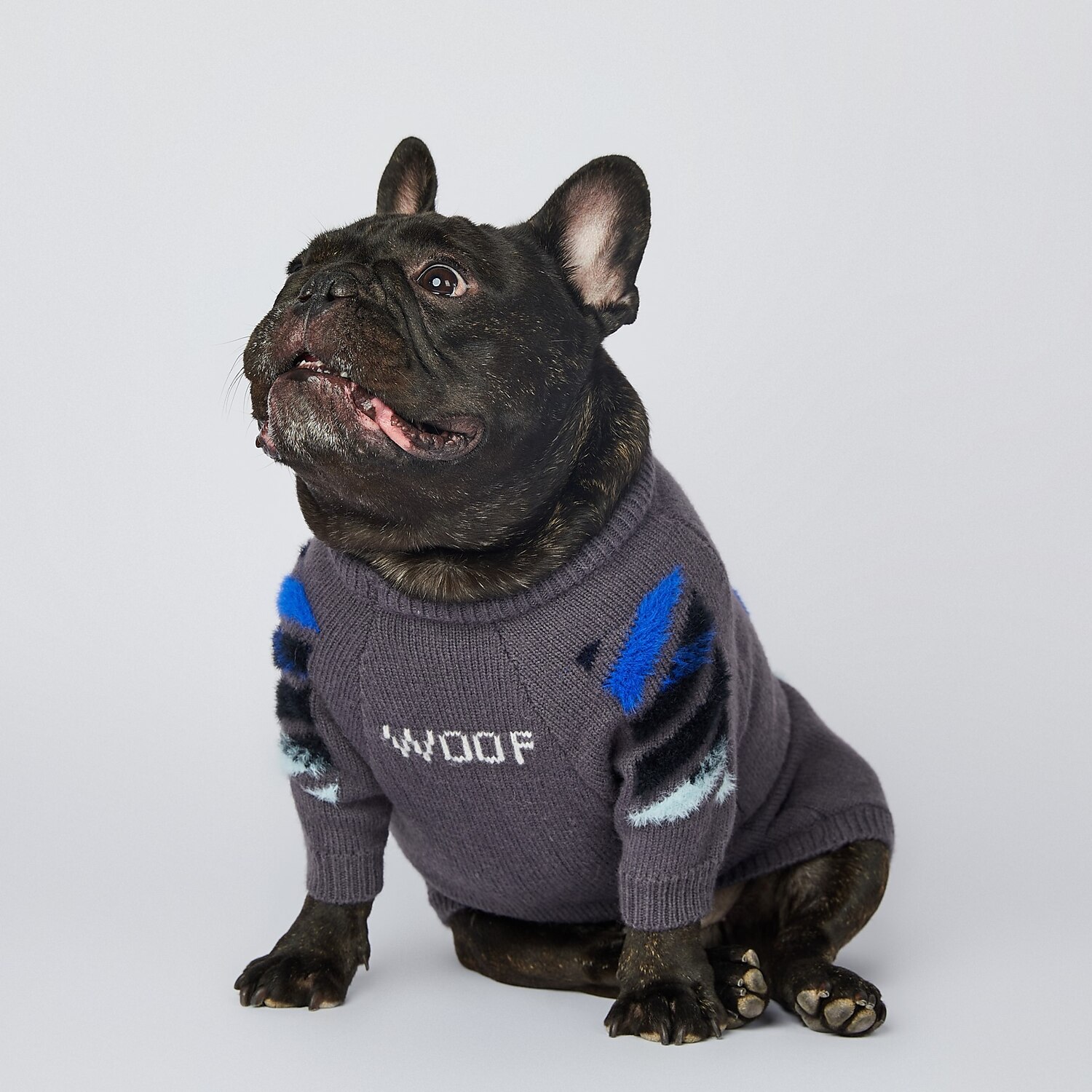 Chien Chat Pull Mode Drôle Hiver Respirant Doux Lavable Confortable Extérieur Décontracté Quotidien Vêtements pour Chiens for Bichon Frisé Spitz Nain Bébé Animal Papillon Petit de 2025 ? $32.99 –P3
