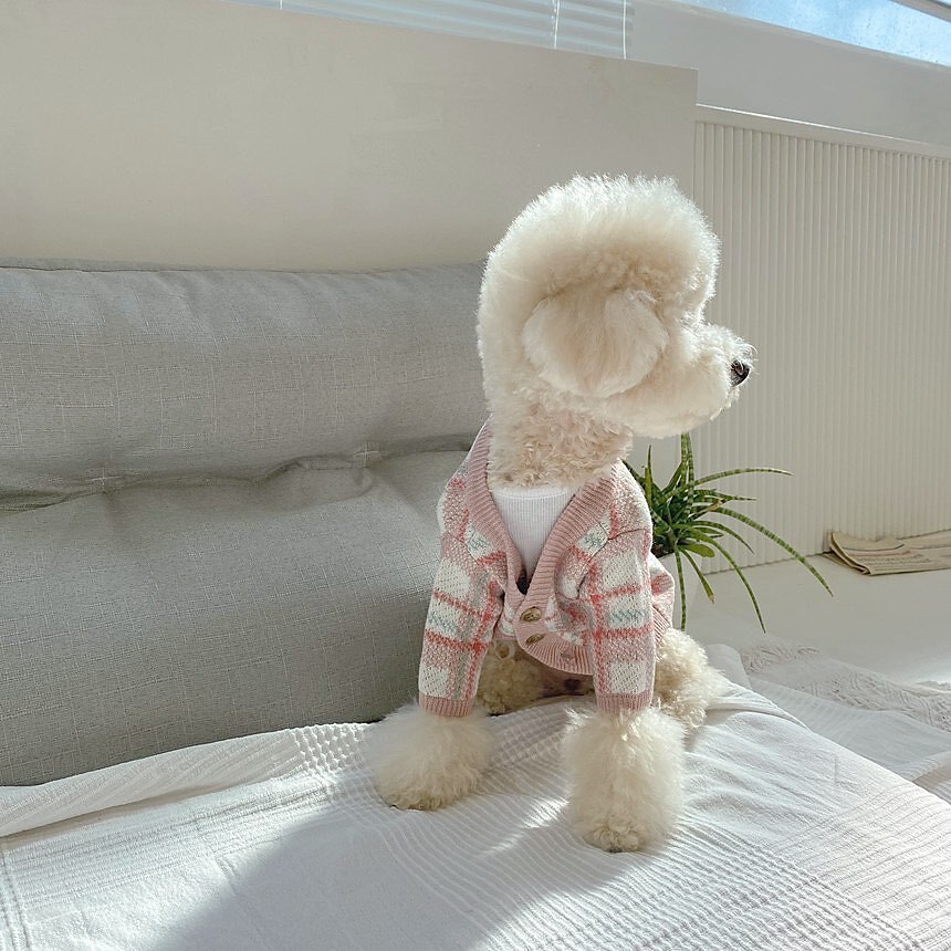 Câini Pisici Pulovere Jumper Modă Casual Iarnă Cald Respirabil Απαλό Lavabil Comfortabil În aer liber Casul / Zilnic Îmbrăcăminte pentru câini for Bichon Frise Pomeran un Animalut Fluture Small 2025 - $35.99 –P1
