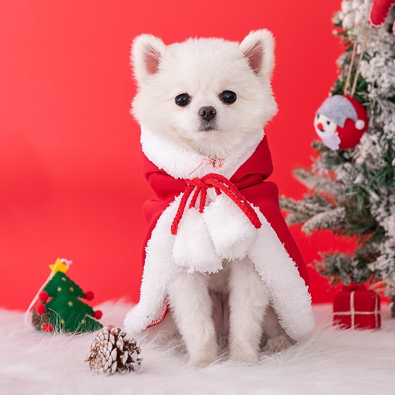 Hund Katt Kappa Mode söt stil Vinter Varm Andningsfunktion Mjuk Tvättbar Bekväm Jul Utomhus Ledigt / vardag Festival Bichon Frisé Pommeran valpen eller det lilla husdjuret Fjäril 2025 - $11.49 –P4