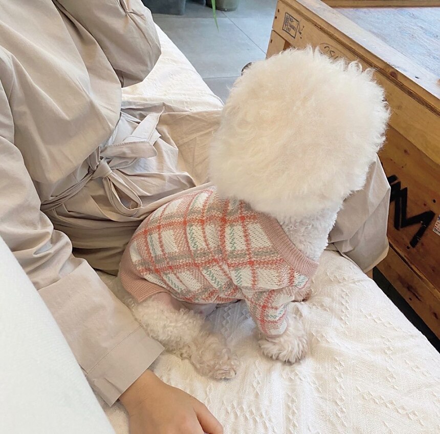 Câini Pisici Pulovere Jumper Modă Casual Iarnă Cald Respirabil Απαλό Lavabil Comfortabil În aer liber Casul / Zilnic Îmbrăcăminte pentru câini for Bichon Frise Pomeran un Animalut Fluture Small 2025 - $35.99 –P9