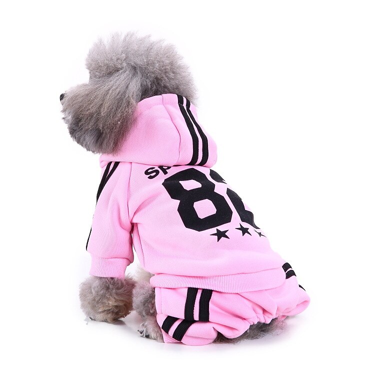 Hund Katze Kapuzensweatshirt Mode Niedlich Warm Atmungsaktiv Weich Waschbar Bequem Outdoor Alltagstauglich Hundebekleidung for Bichon Frise Zwergspitz Baby Haustier Papillon Klein 2025 - $26.99 –P3