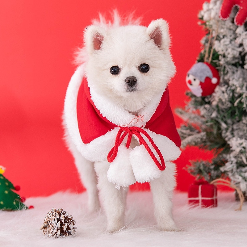 Hund Katt Kappa Mode söt stil Vinter Varm Andningsfunktion Mjuk Tvättbar Bekväm Jul Utomhus Ledigt / vardag Festival Bichon Frisé Pommeran valpen eller det lilla husdjuret Fjäril 2025 - $11.49 –P3