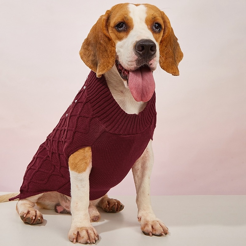 Cachorros Gatos Súeters Pulôver Moda Casual Inverno Respirável Macio Lavável Confortável Ao ar livre Casual / Diário Bichon Frise Pomerânia Animais de Pequeno Porte Borboleta de 2025 por $15.49 –P7