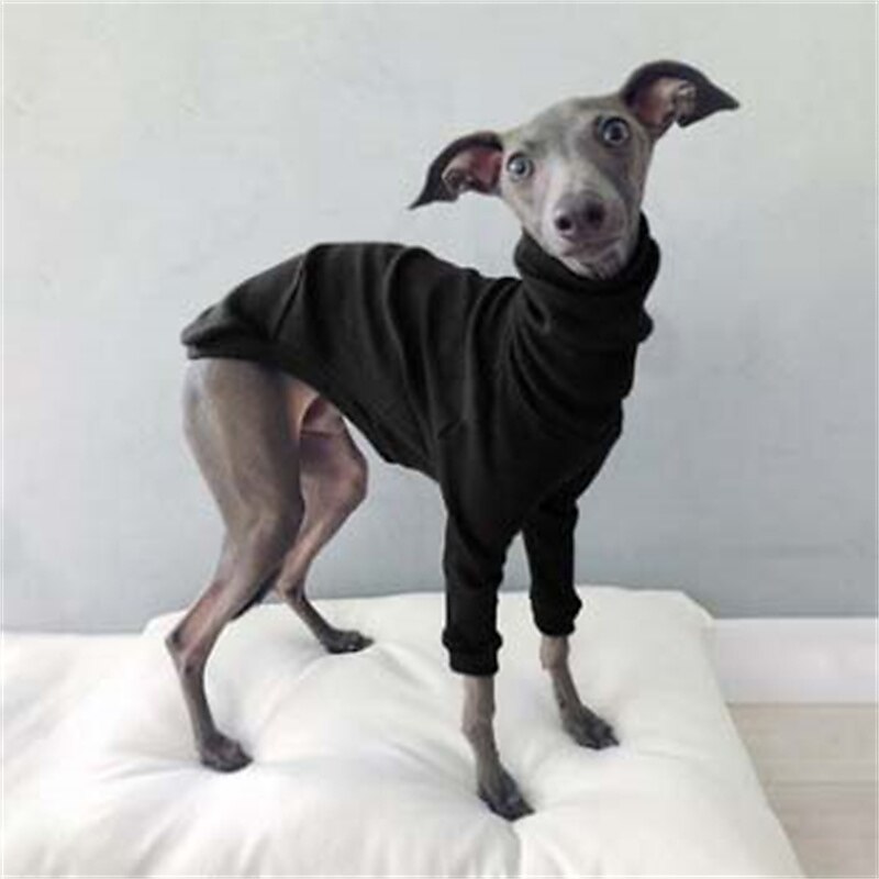 Dog Cat Shirt / T-Shirt Fashion Cute Breathable Soft Washable Comfortable Outdoor Casual Daily Dog Clothing for Bichon Frise Pomeranian Baby Pet Papillon Small 2025 - $25.99 –P5