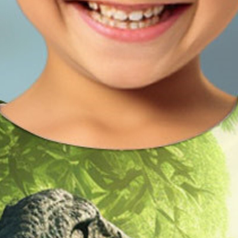 Boys 3D Graphic Animal Dinosaur T shirt Tee Long Sleeve 3D Print Summer Spring Fall Sports Fashion Streetwear Kids 3-12 Years 4-12 Years Outdoor Casual Daily Regular Fit 2025 - $13.99 –P13