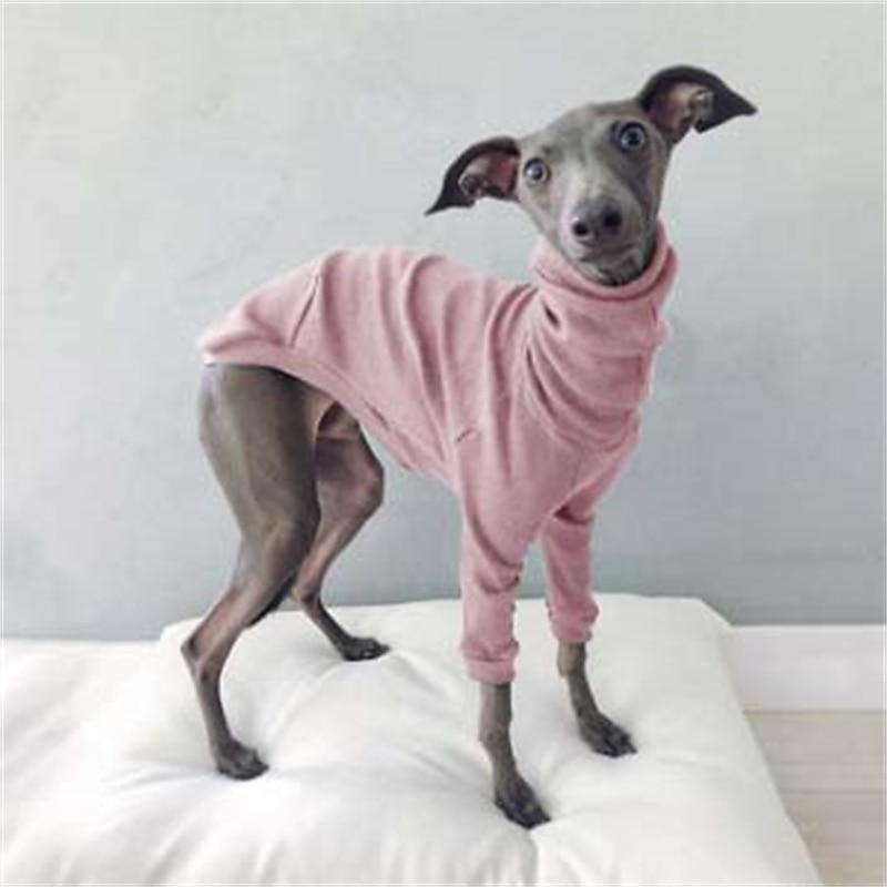 Dog Cat Shirt / T-Shirt Fashion Cute Breathable Soft Washable Comfortable Outdoor Casual Daily Dog Clothing for Bichon Frise Pomeranian Baby Pet Papillon Small 2025 - $25.99 –P9